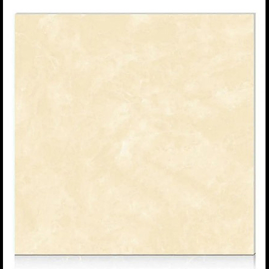 Gạch Hoàn Mỹ 100x100 vi tinh 55505