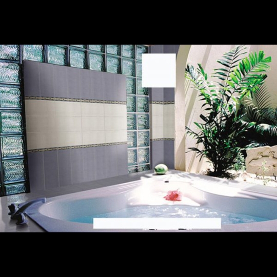 Gạch kính lấy sáng Thái Lan hoa văn bọt biển