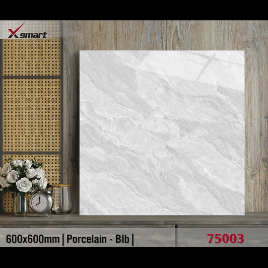 Gạch lát nền 60x60 Catalan XS 75003