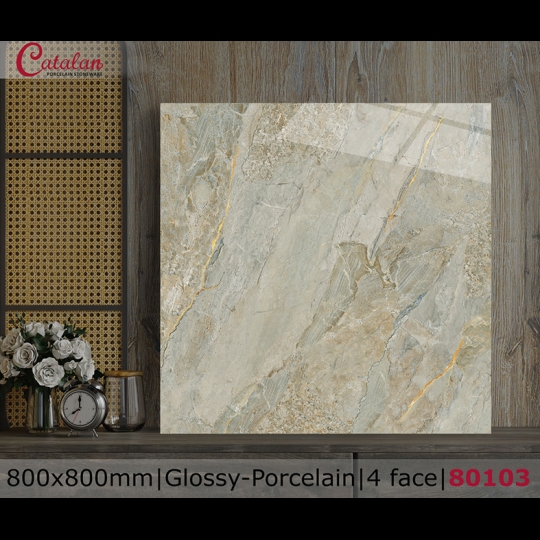 Gạch lát nền Catalan 800x800 80103