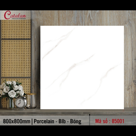 Gạch lát nền Catalan 800x800 85001