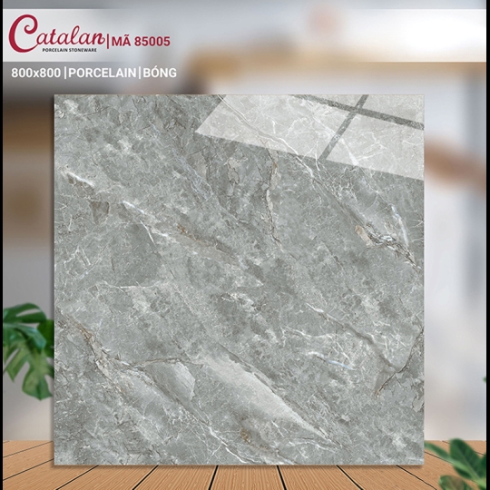 Gạch lát nền Catalan 800x800 85005