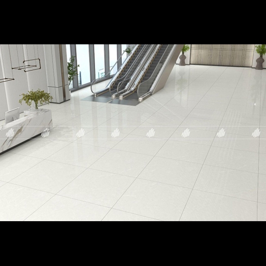 Gạch lát nền Đồng Tâm 100DONGVAN003