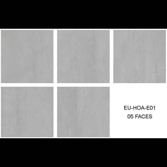 Gạch lát nền Eurotile 80x80 mờ HOA E01