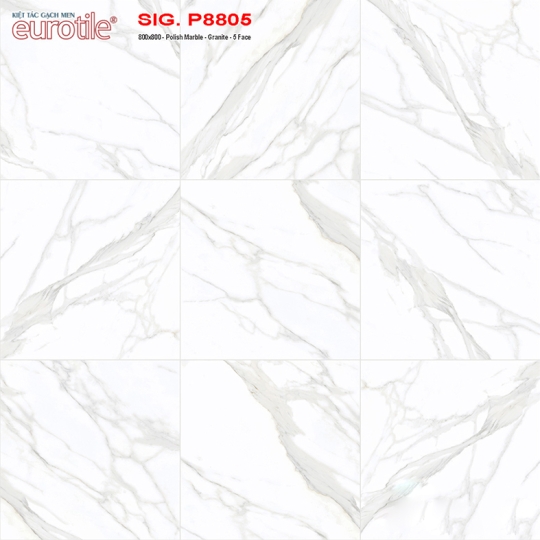 Gạch lát nền Eurotile 80x80 SIG P8805