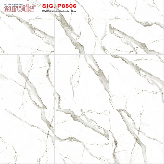 Gạch lát nền Eurotile 80x80 SIG P8806