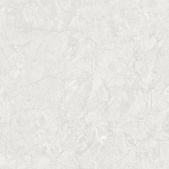 Gạch lát nền Tasa 100x100 TOP 1105