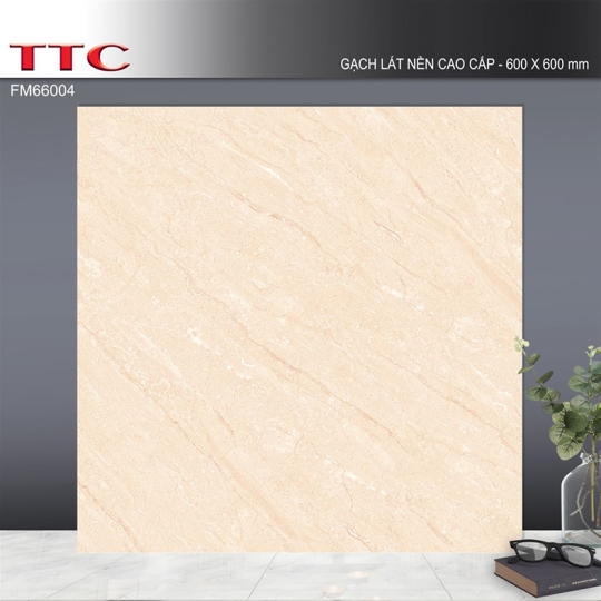 Gạch lát nền TTC 60x60 FM66004