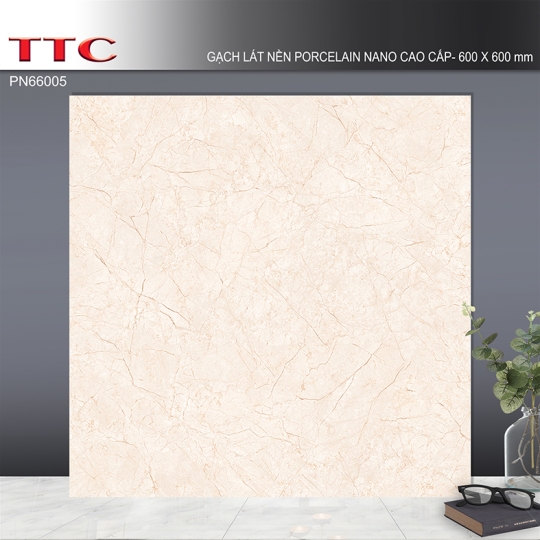Gạch lát nền TTC 60x60 PN66005