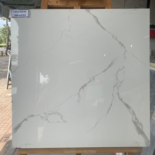 Gạch lát nền TTC 60x60 PN66039