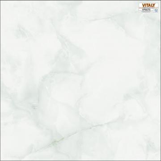 Gạch lát nền Vitaly 60x60 VP6670