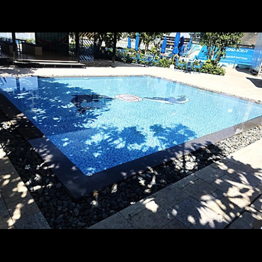 Gạch mosaic cá heo ốp hồ bơi