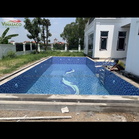 Gạch mosaic cá heo ốp hồ bơi