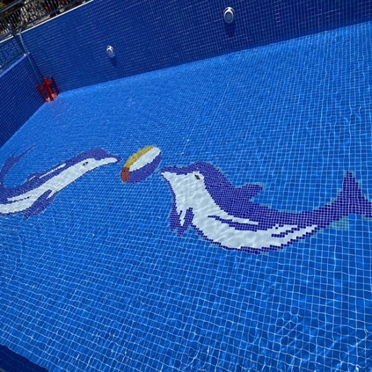 Gạch mosaic ốp hồ bơi 48054