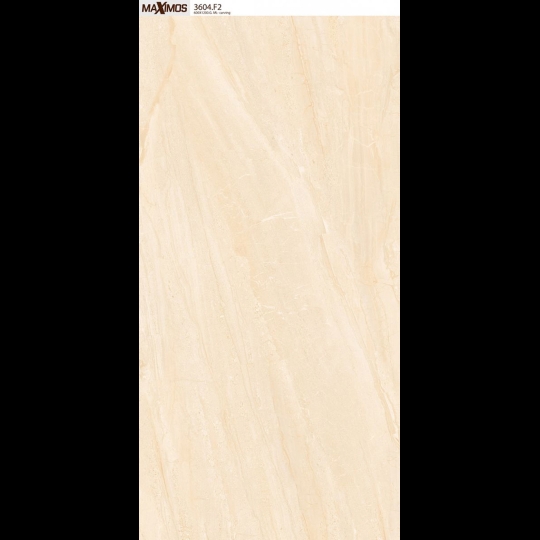 Gạch ốp lát Vitto 60x120 3604