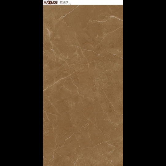 Gạch ốp lát Vitto 60x120 3631
