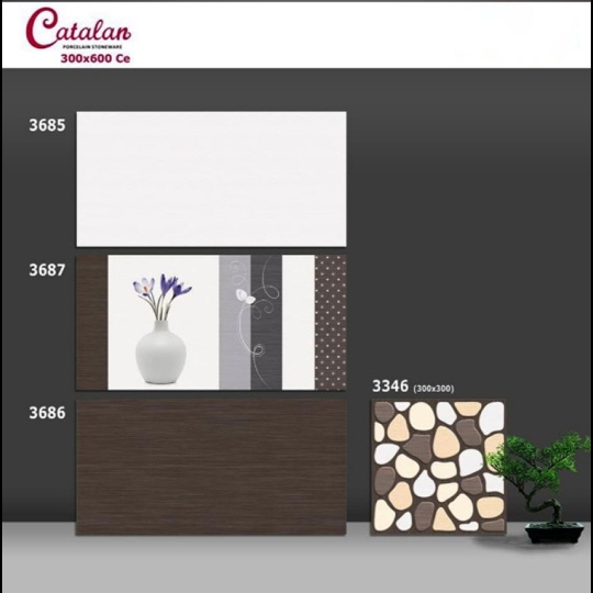 Gạch ốp tường 30x60 Catalan 3685