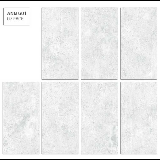 Gạch ốp tường Eurotile 30x60 ANN G01