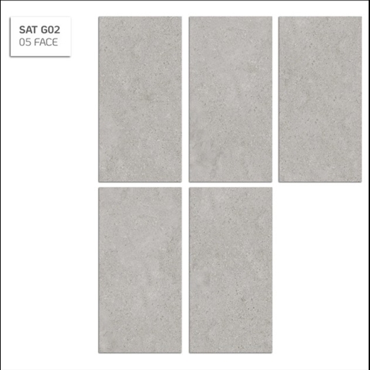 Gạch ốp tường Eurotile 30x60 SAT G02