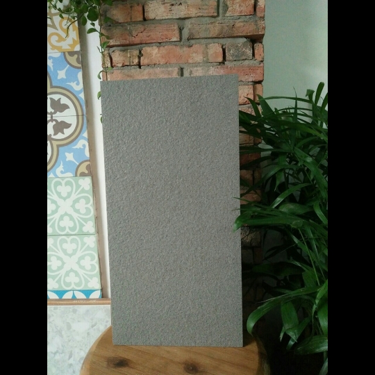 Gạch ốp tường Taicera 30x60 G63528