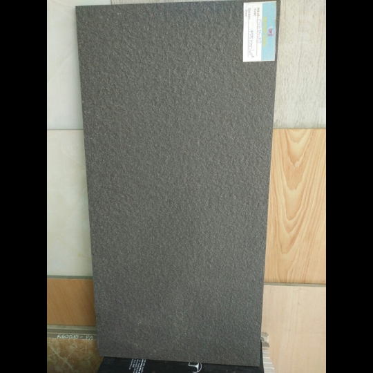 Gạch ốp tường Taicera 30x60 G63529
