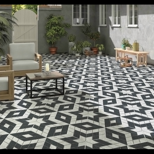 Gạch sân vườn lục giác 1668