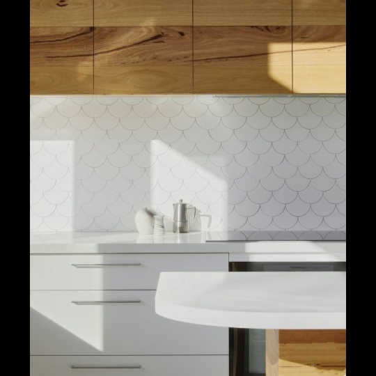 Gạch trang trí 30x60  vảy cá trắng  TTP3620