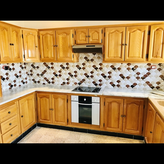 Gạch trang trí vảy cá 30x30 LXW30-23