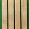 Gạch giả gỗ Viglacera 15x90 cm 