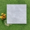 Gạch lát nền Viglacera 50x50 cm