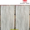 Gạch Taicera 60x120 cm