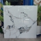 Gạch lát nền Ấn Độ 100x100 cm