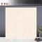 Gạch lát nền TTC 60x60 cm