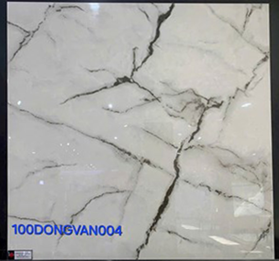 Gạch lát nền Đồng Tâm 100DONGVAN004