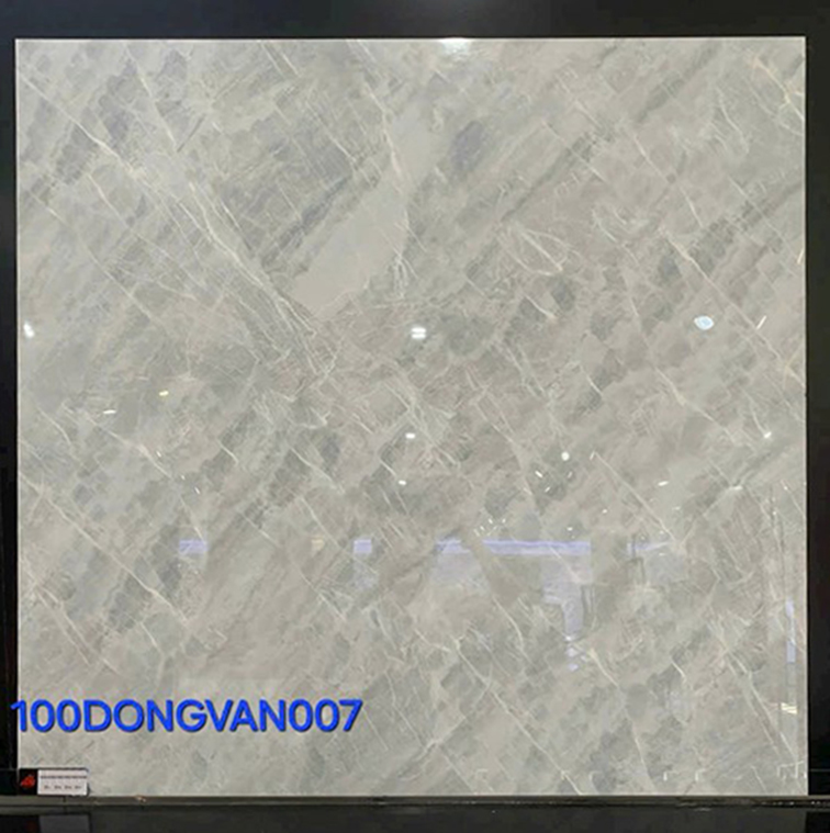 Gạch lát nền Đồng Tâm 100DONGVAN007