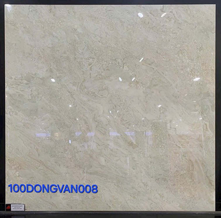 Gạch lát nền Đồng Tâm 100DONGVAN008