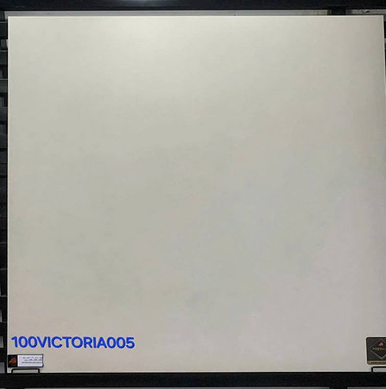 Gạch lát nền Đồng Tâm 100VICTORIA005