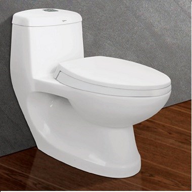 Bàn cầu 1 khối Viglacera C0504