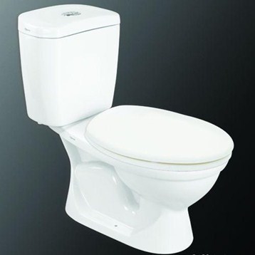 Bồn cầu 2 khối Viglacera VI66