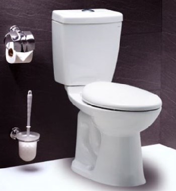 Bồn cầu Caesar CDS1325 nắp êm
