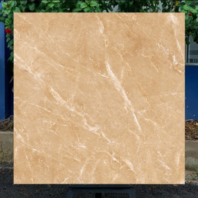 Gạch lát nền CMC 100x100 CGD 1010003S2