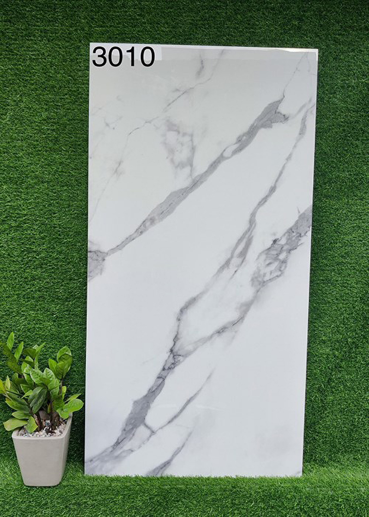 Gạch 60x120 Ấn Độ 3010