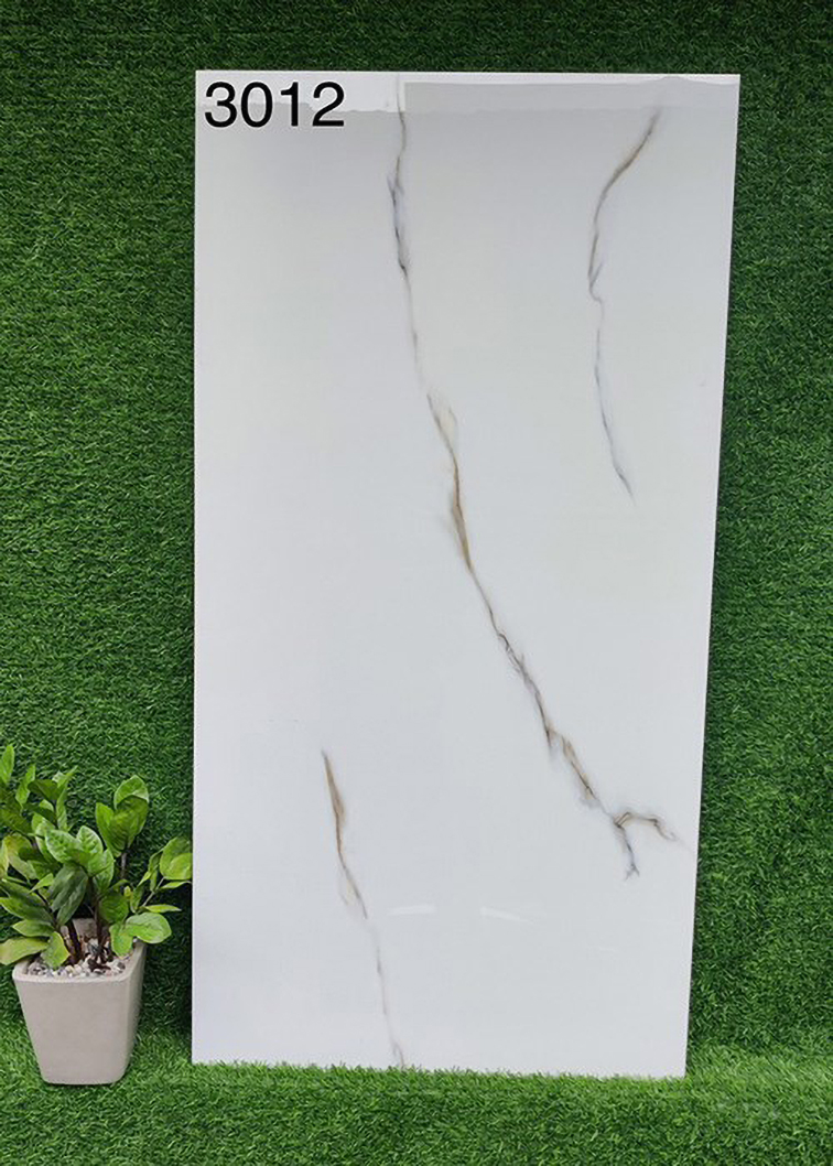 Gạch 60x120 Ấn Độ 3012