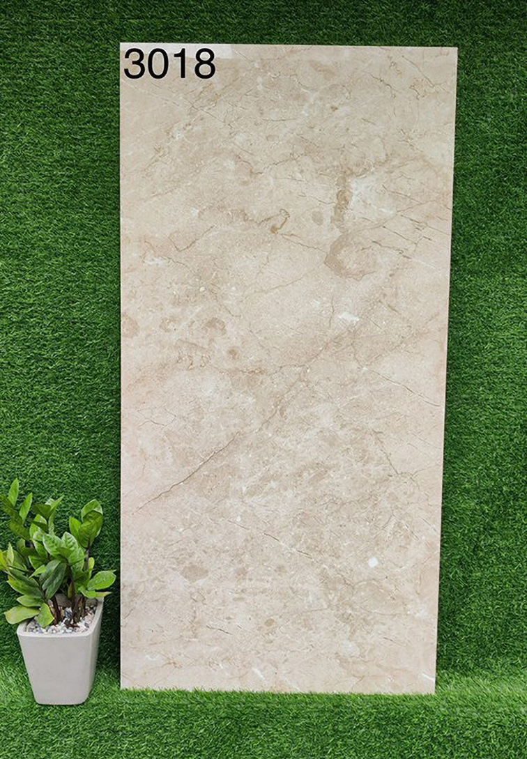 Gạch 60x120 Ấn Độ 3018