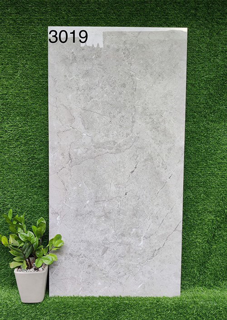Gạch 60x120 Ấn Độ 3019