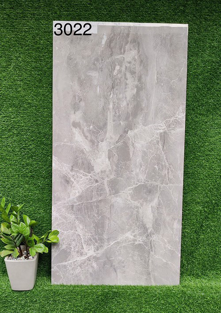 Gạch 60x120 Ấn Độ 3022