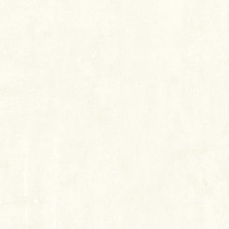 Gạch Bạch Mã 50x50 CG50010