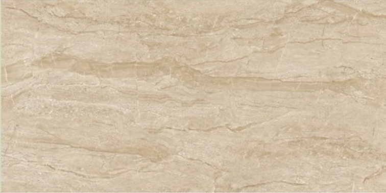 Gạch Catalan 40x80 4802