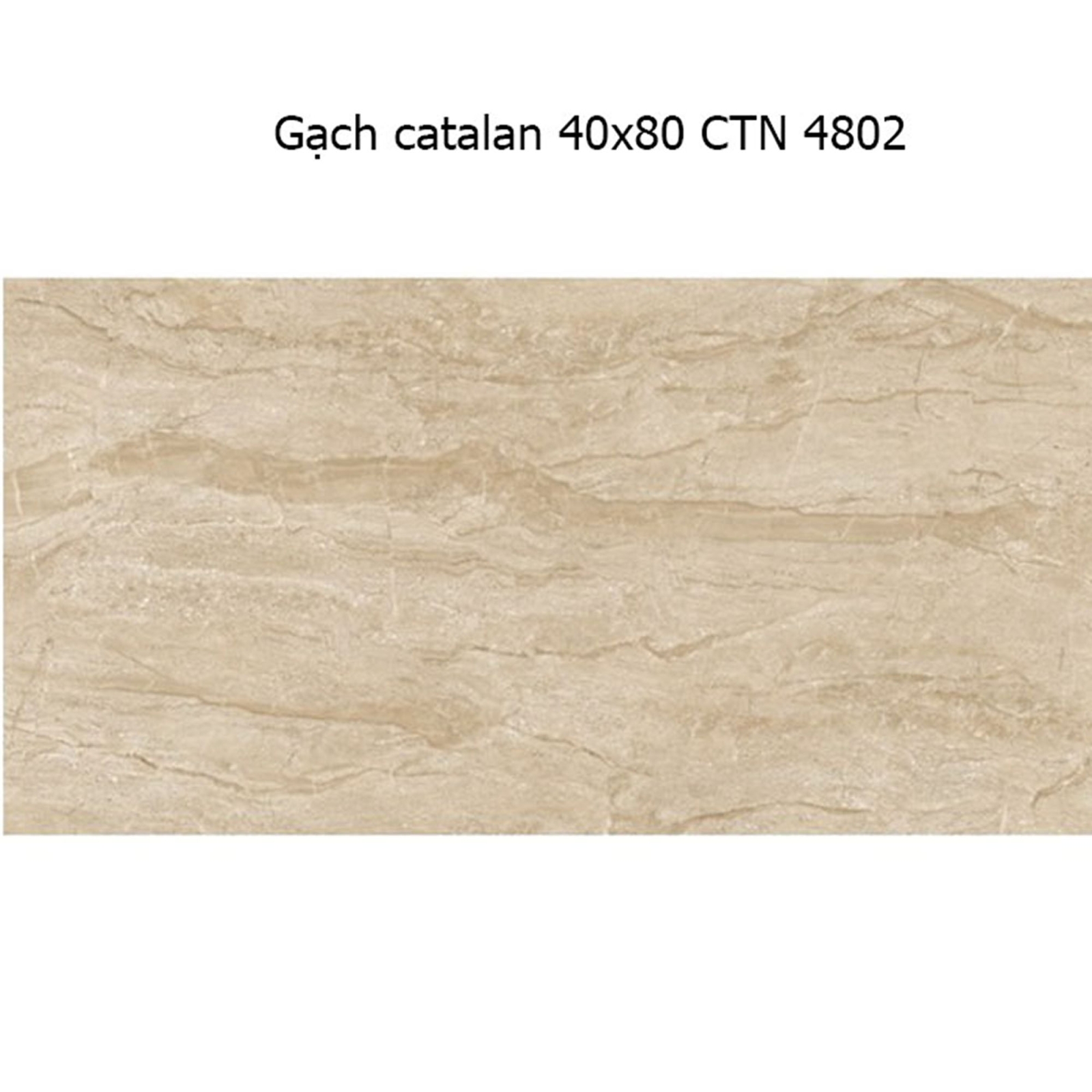 Gạch ốp tường Catalan 40x80 4802