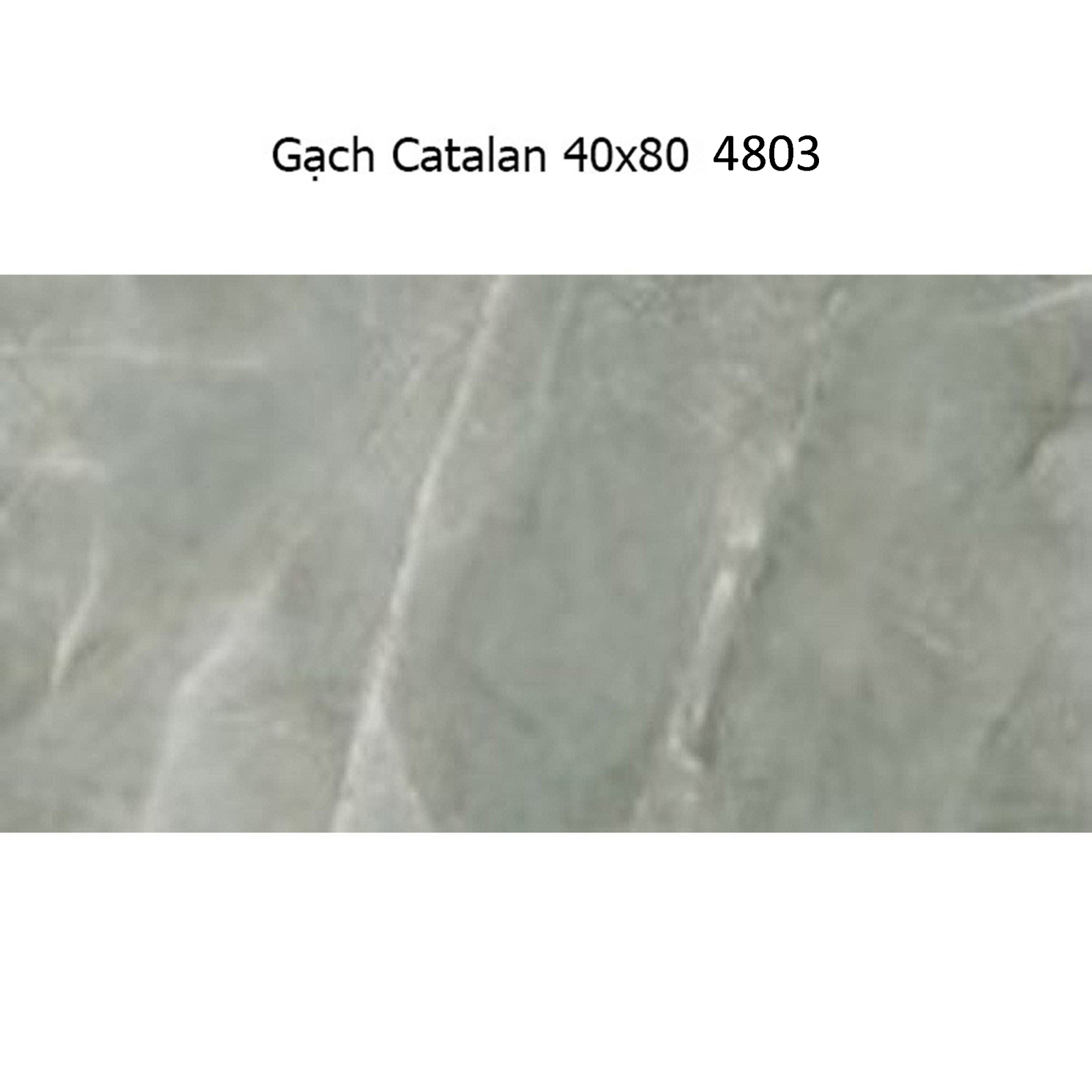 Gạch ốp tường Catalan 40x80 4803